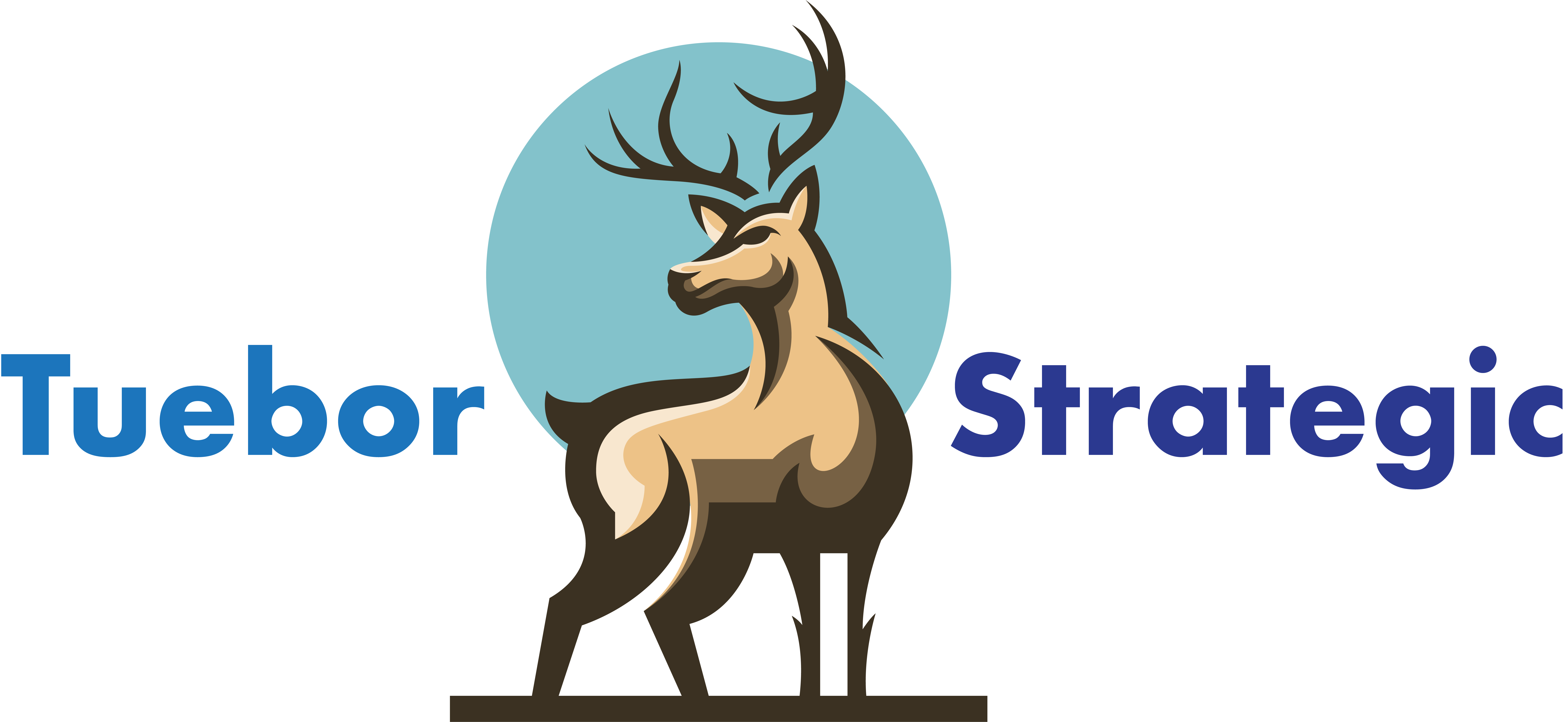 Tuebor Strategic, LLC